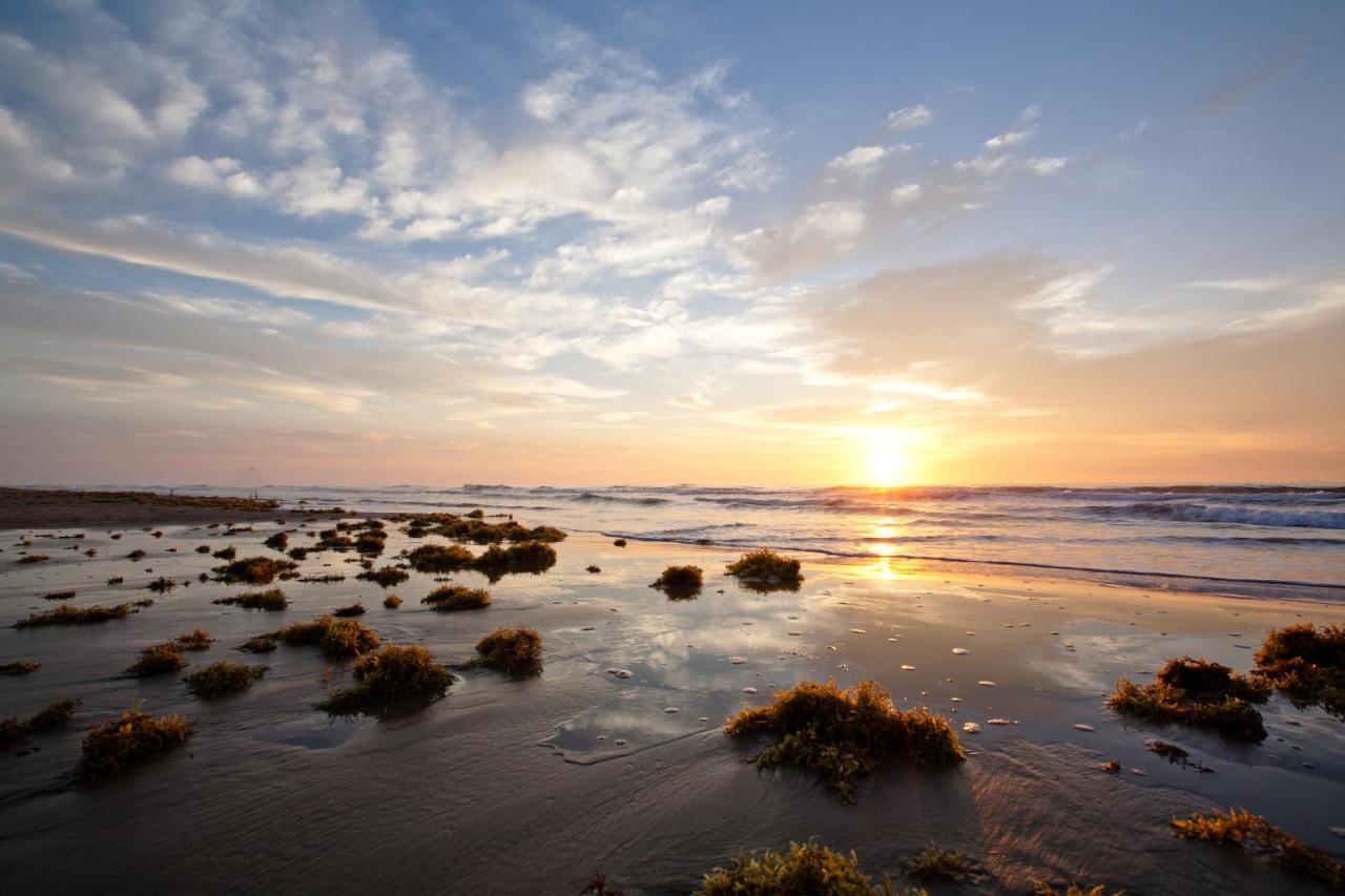 Island Serenity South Padre Island Dış mekan fotoğraf